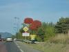 P1000521.JPG